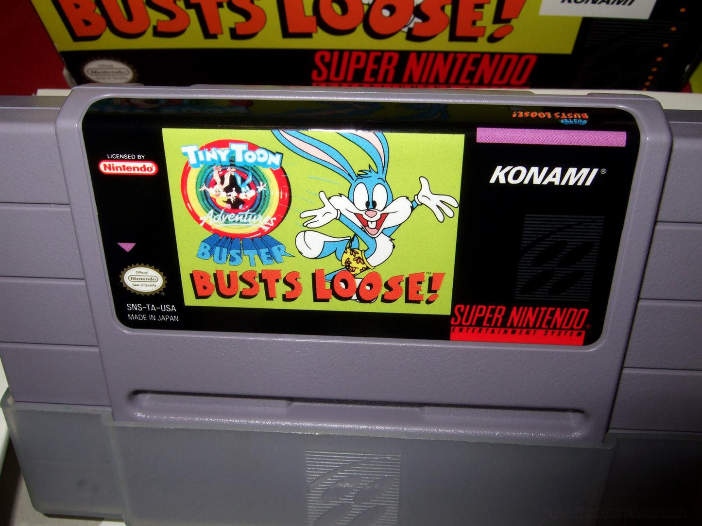Tiny Toon Adventures Buster Busts Loose
