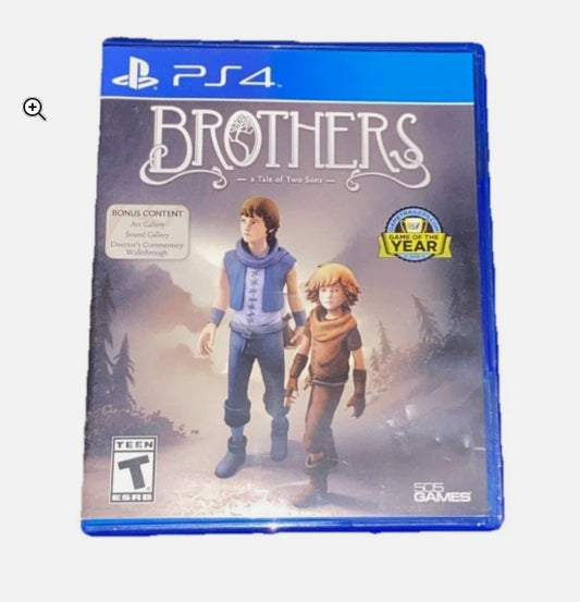 Brothers: A Tale of Two Sons